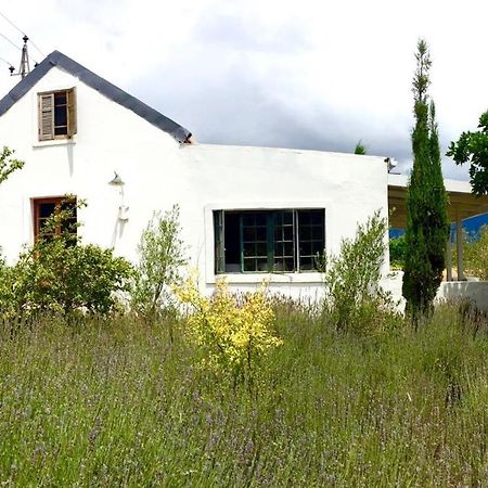 Designer Farm Cottage On Farm Franschhoek Bagian luar foto