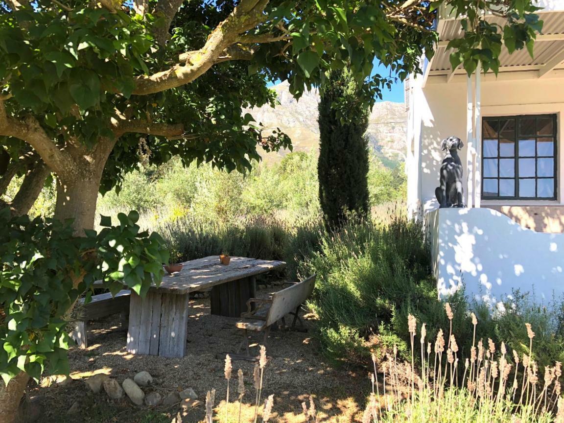 Designer Farm Cottage On Farm Franschhoek Bagian luar foto