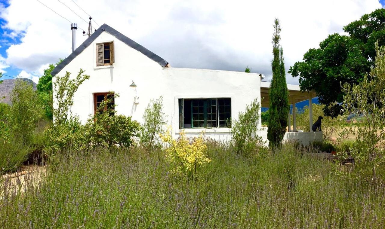 Designer Farm Cottage On Farm Franschhoek Bagian luar foto